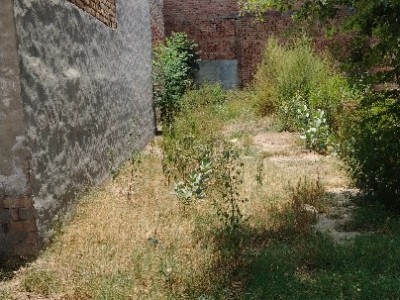 Land photo 2