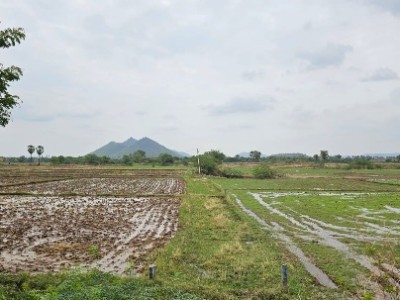 Land photo 2