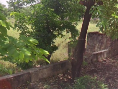 Land photo 2