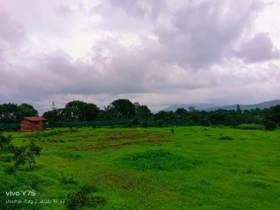 Land photo 2