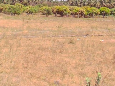 Land photo 2