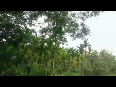 Land photo 3