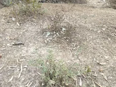 Land photo 2