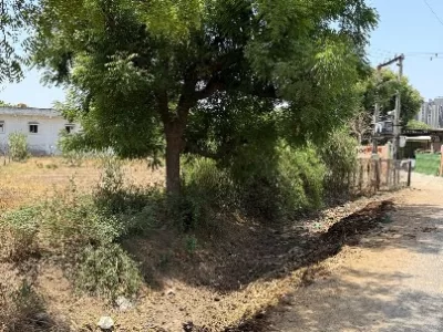 Land photo 2
