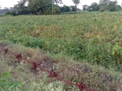 Land photo 2