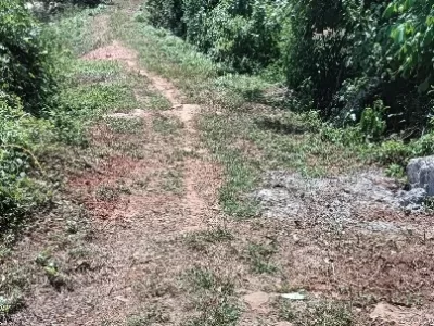 Land photo 2
