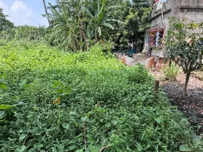 Land photo 2