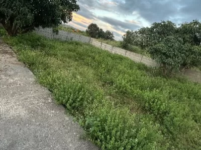 Land photo 2