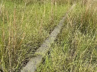 Land photo 2