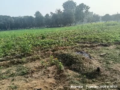 Land photo 2