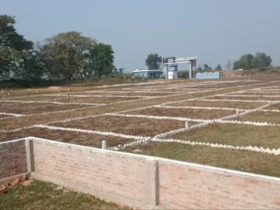 Land photo 3